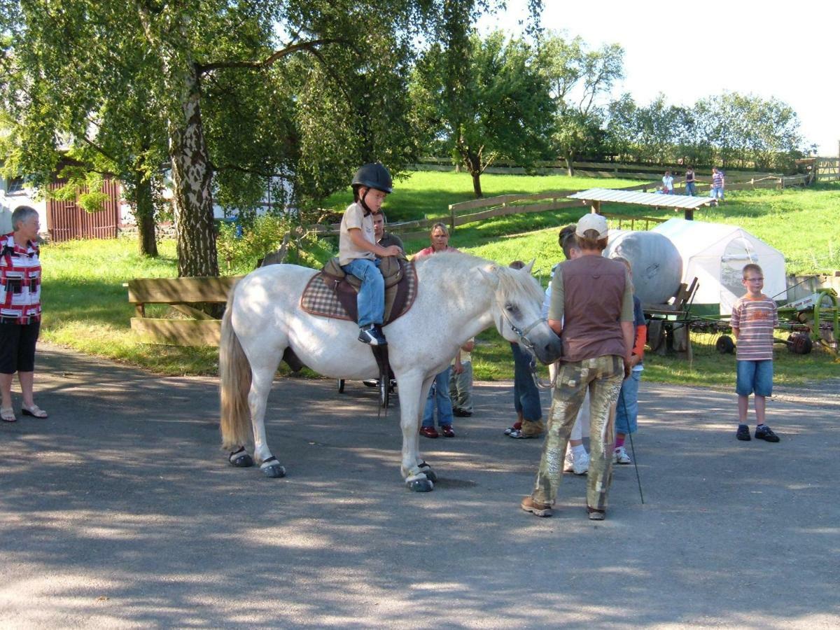 Ferienwohnungen Finke Frankenau Zewnętrze zdjęcie