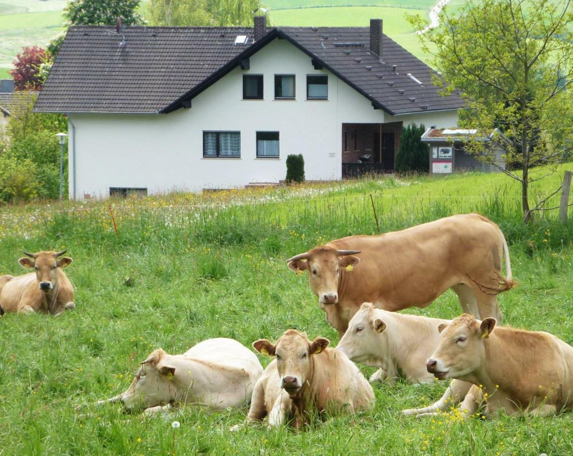 Ferienwohnungen Finke Frankenau Zewnętrze zdjęcie