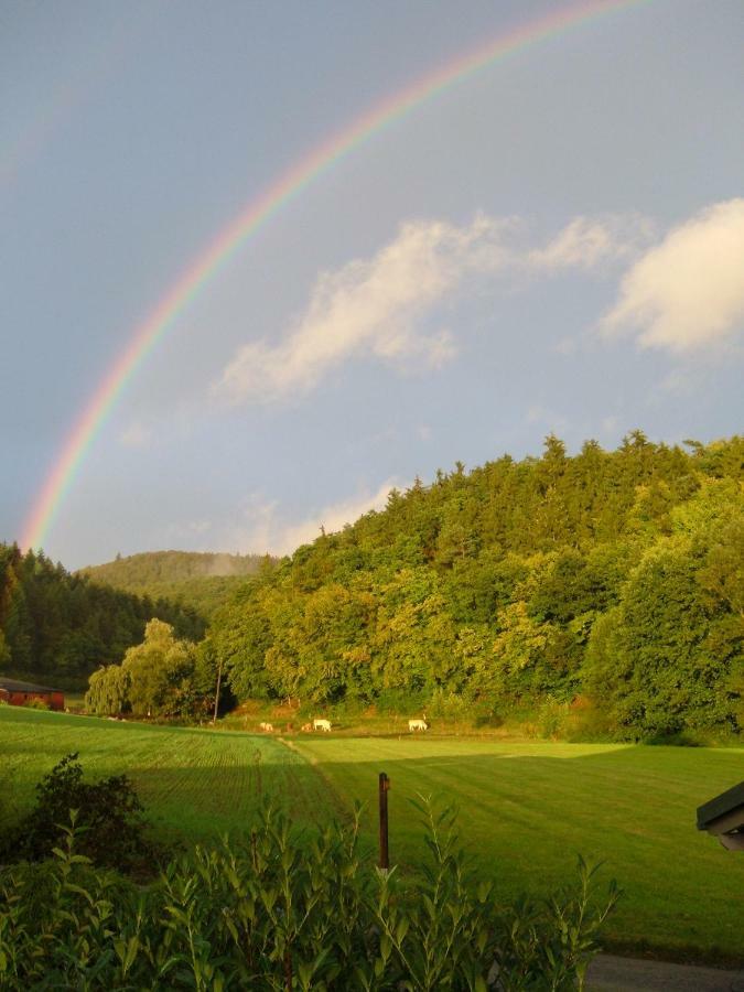 Ferienwohnungen Finke Frankenau Zewnętrze zdjęcie